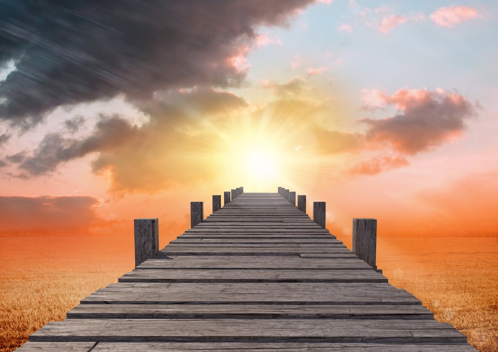 Website AJ Bell case study image